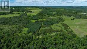 LOT 14 CON 2 1ST LINE E EHS | Mulmur Ontario | Slide Image Four