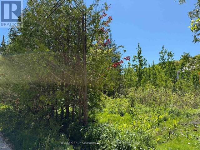 122 JAMES STREET The Blue Mountains Ontario, L9Y 0T6 - Vacant Land For Sale