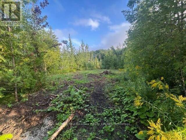 122 JAMES STREET The Blue Mountains Ontario, L9Y 0T6 - Vacant Land For Sale