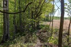 157659 7TH LINE | Meaford Ontario | Slide Image Thirty