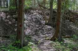 157659 7TH LINE | Meaford Ontario | Slide Image Thirty-three