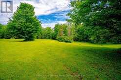 600072 50 SIDE ROAD S | Chatsworth Ontario | Slide Image Thirty-eight