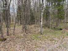 0 DAUNCEY ROAD | Magnetawan Ontario | Slide Image One