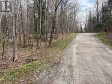 0 DAUNCEY ROAD | Magnetawan Ontario | Slide Image Three