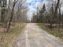 0 DAUNCEY ROAD | Magnetawan Ontario | Slide Image Four