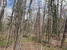 0 DAUNCEY ROAD | Magnetawan Ontario | Slide Image Five