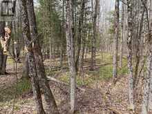 0 DAUNCEY ROAD | Magnetawan Ontario | Slide Image Six