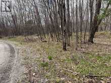 0 DAUNCEY ROAD | Magnetawan Ontario | Slide Image Seven