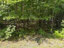 0 DAUNCEY ROAD | Magnetawan Ontario | Slide Image Ten