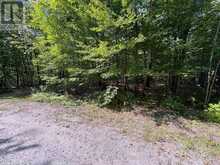 0 DAUNCEY ROAD | Magnetawan Ontario | Slide Image Two