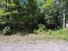0 DAUNCEY ROAD | Magnetawan Ontario | Slide Image Three