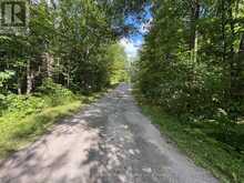 0 DAUNCEY ROAD | Magnetawan Ontario | Slide Image Four