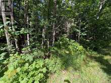 0 DAUNCEY ROAD | Magnetawan Ontario | Slide Image Six