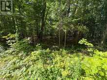 0 DAUNCEY ROAD | Magnetawan Ontario | Slide Image Seven