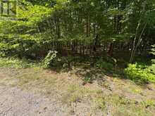0 DAUNCEY ROAD | Magnetawan Ontario | Slide Image Nine