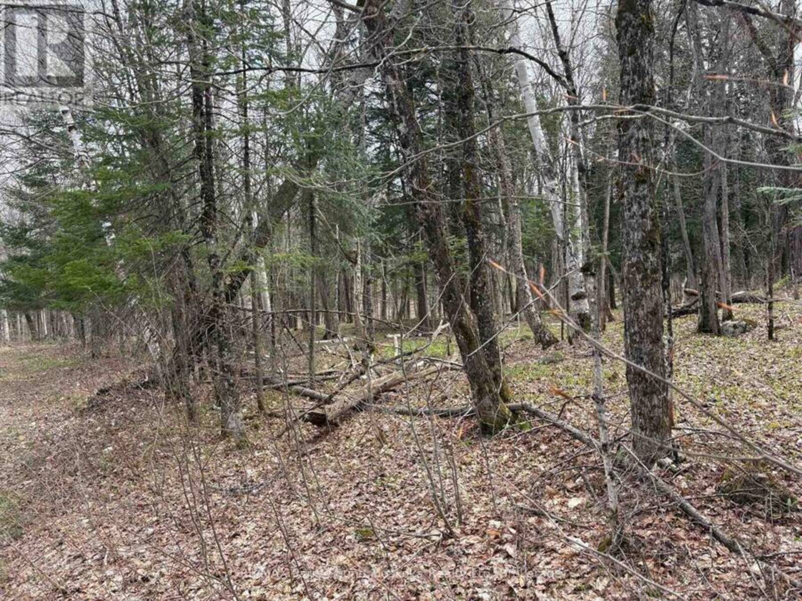 0 AHMIC LAKE ROAD, Magnetawan, Ontario P0A 1P0
