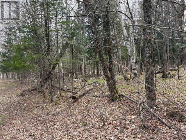 0 AHMIC LAKE ROAD Magnetawan Ontario, P0A 1P0 - Vacant Land For Sale