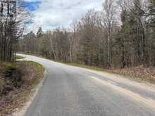 0 AHMIC LAKE ROAD | Magnetawan Ontario | Slide Image Ten