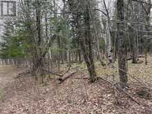 0 AHMIC LAKE ROAD | Magnetawan Ontario | Slide Image One