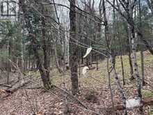 0 AHMIC LAKE ROAD | Magnetawan Ontario | Slide Image Two