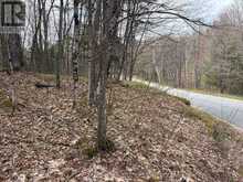 0 AHMIC LAKE ROAD | Magnetawan Ontario | Slide Image Three