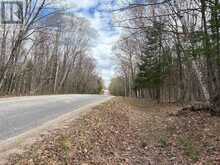 0 AHMIC LAKE ROAD | Magnetawan Ontario | Slide Image Five