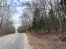 0 AHMIC LAKE ROAD | Magnetawan Ontario | Slide Image Six