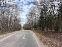 0 AHMIC LAKE ROAD | Magnetawan Ontario | Slide Image Seven
