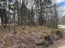 0 AHMIC LAKE ROAD | Magnetawan Ontario | Slide Image Nine