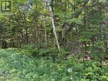 0 AHMIC LAKE ROAD | Magnetawan Ontario | Slide Image Ten