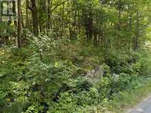 0 AHMIC LAKE ROAD | Magnetawan Ontario | Slide Image Eleven