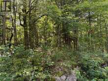 0 AHMIC LAKE ROAD | Magnetawan Ontario | Slide Image Thirteen