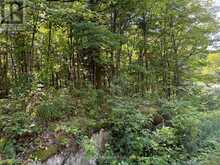 0 AHMIC LAKE ROAD | Magnetawan Ontario | Slide Image Fourteen