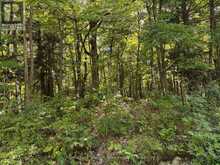 0 AHMIC LAKE ROAD | Magnetawan Ontario | Slide Image Fifteen