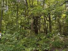 0 AHMIC LAKE ROAD | Magnetawan Ontario | Slide Image Sixteen