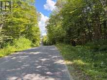 0 AHMIC LAKE ROAD | Magnetawan Ontario | Slide Image Five