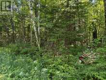 0 AHMIC LAKE ROAD | Magnetawan Ontario | Slide Image Seven