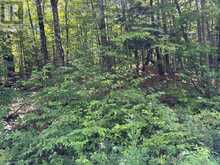 0 AHMIC LAKE ROAD | Magnetawan Ontario | Slide Image Nine