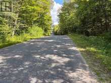 0 AHMIC LAKE ROAD | Magnetawan Ontario | Slide Image Four