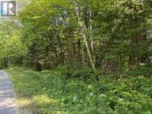 0 AHMIC LAKE ROAD | Magnetawan Ontario | Slide Image Six