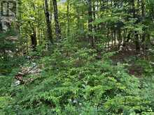 0 AHMIC LAKE ROAD | Magnetawan Ontario | Slide Image Eight