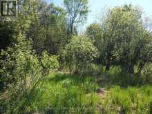 CON 13, PT LOT 21, PART 1 GOLF COURSE ROAD | Powassan Ontario | Slide Image Twelve