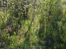 CON 13, PT LOT 21, PART 1 GOLF COURSE ROAD | Powassan Ontario | Slide Image Thirteen