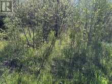 CON 13, PT LOT 21, PART 1 GOLF COURSE ROAD | Powassan Ontario | Slide Image Seventeen