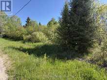 CON 13, PT LOT 21, PART 1 GOLF COURSE ROAD | Powassan Ontario | Slide Image Nineteen