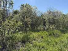 CON 13, PT LOT 21, PART 1 GOLF COURSE ROAD | Powassan Ontario | Slide Image Twenty