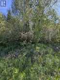 CON 13, PT LOT 21, PART 1 GOLF COURSE ROAD | Powassan Ontario | Slide Image Twenty-one