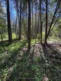 CON 13, PT LOT 21, PART 1 GOLF COURSE ROAD | Powassan Ontario | Slide Image Twenty-two