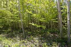 40 OLD RED BAY ROAD | Georgian Bluffs Ontario | Slide Image Twelve
