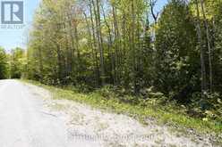 40 OLD RED BAY ROAD | Georgian Bluffs Ontario | Slide Image Seven